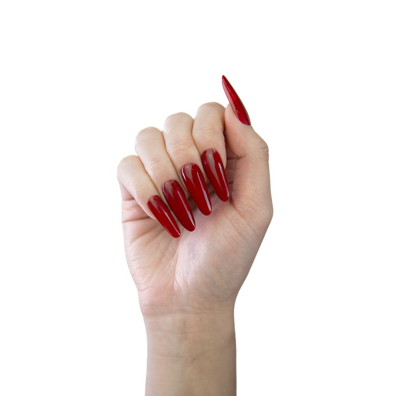 712 Collection Regular MAKEAR