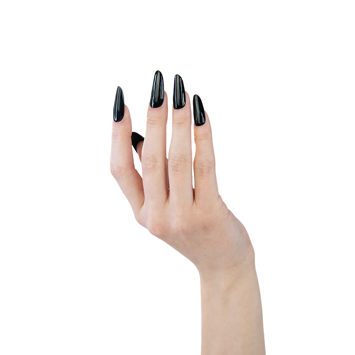 790 Collection Regular MAKEAR